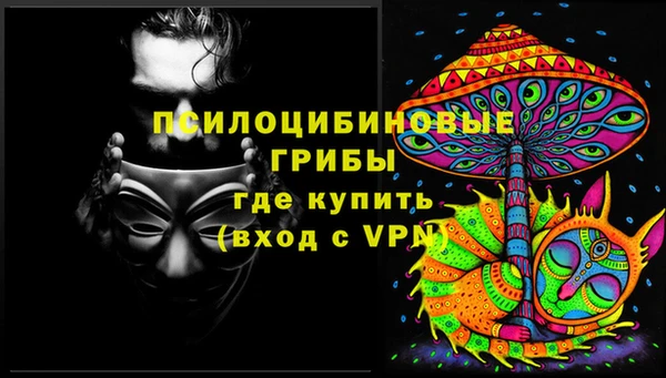 дмт Гусь-Хрустальный