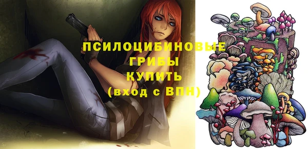 крисы Чердынь
