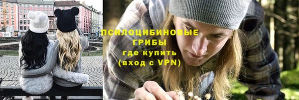 дмт Гусь-Хрустальный