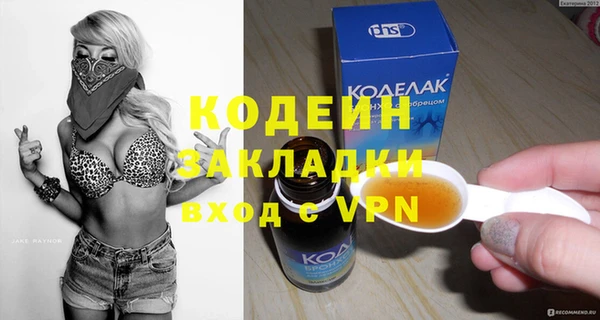 крисы Чердынь