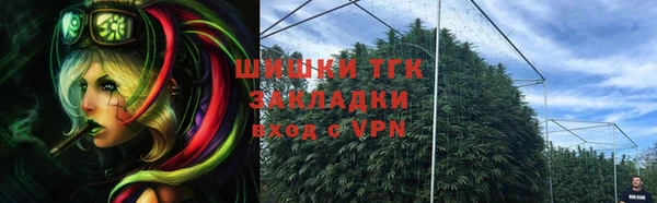 дмт Гусь-Хрустальный