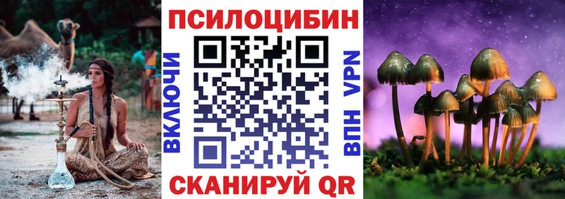 Псилоцибиновые грибы Magic Shrooms  kraken онион  Пионерский 